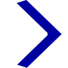 Carrot Icon